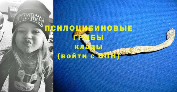 spice Надым