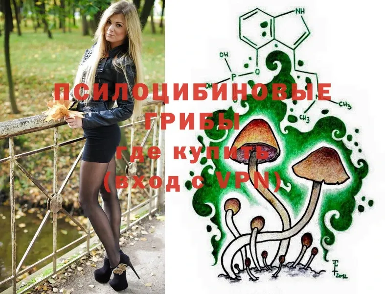 Галлюциногенные грибы Cubensis  shop формула  Партизанск 