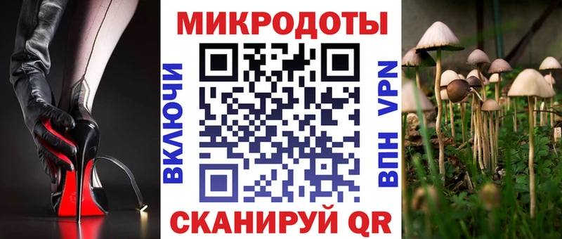 закладки гидра зеркало Псилоцибиновые грибы Cubensis Партизанск